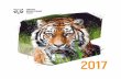 2017 - Центр Амурский тигрamur-tiger.ru/data/media/42161f0e6ac6871b1f9f4c2fb31f3f6... · 2018-03-23 · 2 Центр «Амурский тигр» 2017 | Amur Tiger
