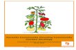 Toronto Community Housing Community Garden Strategy · 2015-11-04 · Toronto Community Food Animators support residents and staff in building partnerships that are a benefit to both
