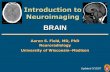 BRAIN - Semantic Scholar › presentation › f6ba › 55c4ff7b80f2… · Neuroradiology University of Wisconsin ... CT Signs in Early MCA Ischemia Hyperdense MCA Insular Ribbon Lentiform