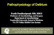 Pathophysiology of Delirium · Disclosure • Research grant from Hospira Inc. in collaboration with NIH • Salary support – Vanderbilt Physician Scientist Award (2003- 2005)