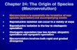 Chapter 24: The Origin of Species (Macroevolution)...garden plant. Primrose Speciation . cladogenic speciation has two modes: allopatric speciation and sympatric speciation disruptive