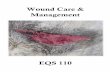 Lecture Wound Care & Mgmt. Wound Care & Management › courses › ...Lecture – Wound Care & Mgmt. Return to Table of Contents Wounds 101 A wound is defined as an injury to living