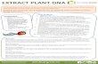 EXTRACT PLANT DNA · EXTRACT PLANT DNA All living things have DNA, the chemical instructions for how to make a living thing. When collected from thousands of cells, DNA can be seen