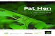 Fat Hen - Home - University of New England (UNE) · Fat hen is a common weed of horticultural and agricultural crops (particularly summer crops and winter forage), in all Australian