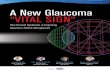 A New Glaucoma “VITAL SIGN”doclibrary.com/MSC167/DOC/ANewGlaucomaVitalSign55420434.pdfOCT has changed how we look at glaucoma in a robust way, and I believe that all of the machines