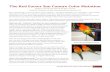 The Red Factor Sun Conure Color Mutationbirdcompanions.com › FCA The Red Factor Sun Conure... · The Red Factor Sun Conure Color Mutation 3 offspring results, the color so far is