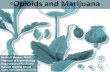 Opioids and Marijuana - rag-ap.org · Opioids and Marijuana . Overview Trends Use Rates Addiction and death Cannabinoid-Opioid ... generations . Trends Use Rates Addiction and death