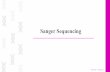 Sanger Sequencing - KSU · •The term DNA sequencing refers to ….. •Application? •A sequencing can be done by different methods including: 1. Maxam–Gilbert sequencing (chemical
