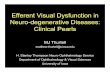 Efferent Visual Dysfunction in Neuro-degenerative Diseases: Clinical Pearls Meeting'/2018/REP... · 2018-03-21 · Efferent Visual Dysfunction in Neuro-degenerative Diseases: Clinical
