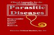 Clincal Appendix for the Seventh Edition Parasitic Diseases€¦ · Cutaneous Larva Migrans Visceral Larva Migrans. VI. The Cestodes . 28. Taenia saginata . 26 29. Taenia solium .