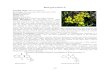 Ruta graveolens L. on/37.pdfFluorescence analysis of R. graveolens Nazish et al. (2009) carried out fluorescence analysis of aerial parts of R. graveolens . Table: Fluorescence analysis