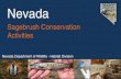 Private Lands 4 Wildlife: Sagebrush Conservation Activities...• Pooling of Resources (Personnel, Funds and Equipment) Nevada Department of Wildlife. ... Healthy sagebrush = healthy