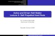 Active and Driven Soft Matter Lecture 3: Self-Propelled ... · Active Hard Rod Nematic Plan and Results 2 A Tutorial: From Langevin equation to Hydrodynamics Langevin dynamics From