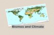 Biomes and Climate - Weeblydiamoon.weebly.com/uploads/8/2/5/0/8250186/biomes_and_climate.… · •Grasslands occur in temperate and tropical areas with reduced rainfall (10-30 inches
