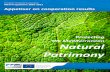 Protecting the Mediterranean Natural Patrimony › fileadmin › PROG_MED › Semin... · 2014-11-26 · Protecting the Mediterranean Natural Patrimony . ... corals, sponges, and