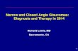 Narrow and Closed Angle Glaucomas: Diagnosis and Therapy ... · Narrow and Closed Angle Glaucomas: Diagnosis and Therapy in 2014 Richard Lewis, MD Sacramento, CA . 1