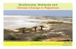 Biodiversity, Wetlands and Climate Changgje in Rajasthan · Biodiversity, Wetlands and Climate Changgje in Rajasthan Brij Gopal Centre for Inland Waters in South Asia, National Institute