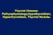 Thyroid Disease: Pathyophysiology,Hypothyroidism ...Jul 28, 2017  · –hemochromotosis, sarcoidosis, neoplastic disease » Congenital thyroid agensis or defects in hormone synthesis.