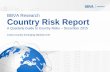 BBVA Research Country Risk Report...BBVA Research Country Risk Report A Quarterly Guide to Country Risks – December 2015 ... • Retail investorsPhilippines responsible for the ...