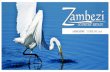 eMAGAZINE | FEBRUARY 2016s3.amazonaws.com/gloportalemag/Zambezi/20160215/issue_17.pdf · This eMagazine is produced especially for residents of De Zalze Winelands Golf Estate to provide