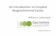 An Introduction to Coupled Biogeochemical Cyclesnadp.slh.wisc.edu › conf › 2009 › keynote › schlesinger.pdfMy second message today: The coupling of biogeochemical cycles, with