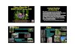 Vines - Aggie Horticulture · Vines, Plant List 7 HORT 308/609 Spring 2020 Dr. Michael A. Arnold, Texas A&M University, Dept. Horticultural Sciences, College Station, TX 77843-2133