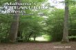 Alabama’s TREASURED Forests · Alabama’s TREASURED Forests 50 Ways to Make your Woodland Home Firewise This publication contains suggestions and recommendations based on professional