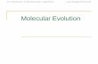 Molecular Evolutionbioinformaticsinstitute.ru › sites › default › files › ch10_molevo.pdf · Zuckerkandl, Classification and Human Evolution, 1963 • “From any point of