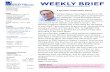 WEEKLY BRIEF › 443 › uploads › Weekly... · WEEKLY BRIEF Sivan 13-14 5780/May 5-6 Parshat Nasso A Message From Rabbi Adler Parshat Nasso, the longest Parsha in the Torah (176