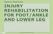 Sports Medicine INJURY REHABILITATION FOR FOOT/ANKLE AND … · 2016-01-28 · INJURY REHABILITATION FOR FOOT/ANKLE AND LOWER LEG Sports Medicine PROPERTY OF PIMA COUNTY JTED, 2010