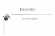 Heredity - WCSgithensjaguarsteam.weebly.com/.../heredity_20bw.pdf · The study of heredity started with the work of Gregor Mendel and his pea plant garden Gregor Mendel is considered