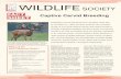 Captive Deer Breeding - wildlife.org · Captive Deer Breeding.pdf Author: Jeremiah.Patterson Created Date: 3/13/2013 1:11:11 PM ...