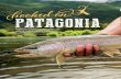 Argentina’s backcountry offers an unmatched fly-fishing ... · the fishing, the hospitality of the people … it is unmatched.” FISHING TIME WARP Rathie is uncannily accurate,