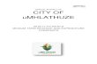 ANNUAL BUDGET OF CITY OF uMHLATHUZECity of uMhlathuze 2016/17 Annual Budget and MTREF March 2016 – DMS 1117322 2 Part 1 – Annual Budget 1.1 Mayor’s Report Mister Speaker, Fellow