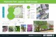 Maybanke Park upgrade - draft concept · Maybanke Park upgrade - Draft Concept HARRIS STREET T. New plants. New hedge. New feature plants New trees. New Magnolia tree. LOCATION MAP.