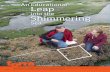 An Educational Leap Shimmering...An Educational Leap into the Shimmering Sea Oregon State University • Fall 2016 Around the world — in engineering, the environment, health care,