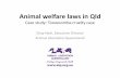 Chay Neal, Executive Director Animal Liberation Queensland · Chay Neal, Executive Director Animal Liberation Queensland . Animal welfare laws ... • Animal cruelty laws fall under
