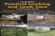 Practical Lambing and Lamb · 2 Practical Lambing and Lamb Care and exposed fields should be avoided. Lambing fields should not be too large and water sources not too far apart (Figure
