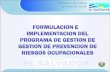 Diapositiva 1 - MINSAL · formulacion e implementacion del programa de gestion de gestion de prevencion de riesgos ocupacionales ministerio de trabajo