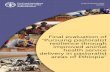 Final evaluation of GCPETH083EC › 3 › ca8490en › CA8490EN.pdf · Project Evaluation Series 04/2020 Final evaluation of “Pursuing pastoralist resilience through improved animal