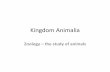 Kingdom Animalia - inetTeacher.com · Kingdom Animalia Author: whalen_s Created Date: 12/20/2012 3:00:53 PM ...