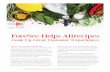 Cook Up Great Customer Experiences - ForeSee · Millennials (18-34 year-olds) are of particular interest to Allrecipes. “They’re the most likely audience segment to post reviews,