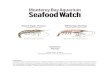 Giant Tiger Prawn Whiteleg Shrimp - Seafood Watch · Vietnam is the largest producer of farmed giant tiger prawn. This report assess the three predominant production systems in Vietnam,