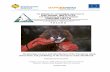 Monitoring services and distribution of the European mink, elaboration and publishing ... › files › 875_6_EuropeanMink.pdf · 2015-11-15 · Monitoring services and distribution