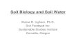 Soil Biology: Relationship to Holding Water in Soil...the soil-no organisms, no structure-Nutrients move with the water-Water not held in soil pores, moves rapidly thru soil-Leaching,