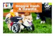 Annual G G I E DA Doggie Dash · 2019-07-22 · fundraiser, Doggie Dash & Dawdle. Recognized as Albuquerque’s must-attend pet-lover event, Doggie Dash attracts more than 4,000 attendees