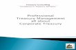 Professional Treasury Management all about Corporate Treasury · Corporate Treasury Treasury Consulting ... The primary target of each cash pooling is the optimization and use of