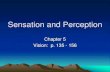 Sensation and Perception - webs.wofford.eduwebs.wofford.edu/...SensationPerception_vision_150.pdf · Sensation v. Perception • Sensation vs. Perception • Physical stimulus Physiological