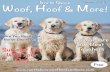 North Shore Summer 2019 oof Hoof More!northshorewoofhoofandmore.com/yahoo_site_admin/assets/...Thich Nhat Hanh , Zen Master, spiritual teacher and peace activist said this: “It’s