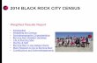 2014 BLACK ROCK CITY CENSUS · 1 2014 BLACK ROCK CITY CENSUS Weighted Results Report • Introduction • Weighting the Census • Sociodemographic Characteristics • Burning Man